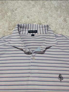 Peter Millar Men’s Pink, Blue & White Striped Polo